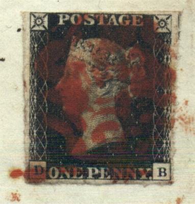 Plate 6 D-B