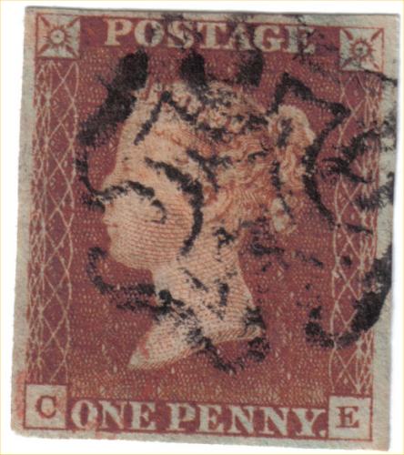 Plate 8 C-E