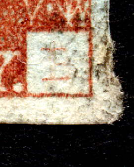 Plate 5 T-B