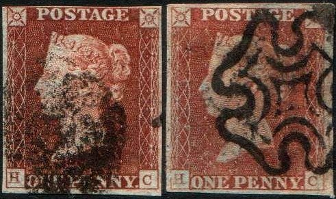 Plate 5 H-C