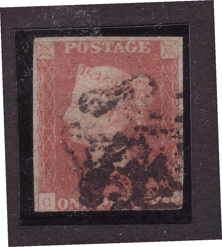 Plate 5 C-D