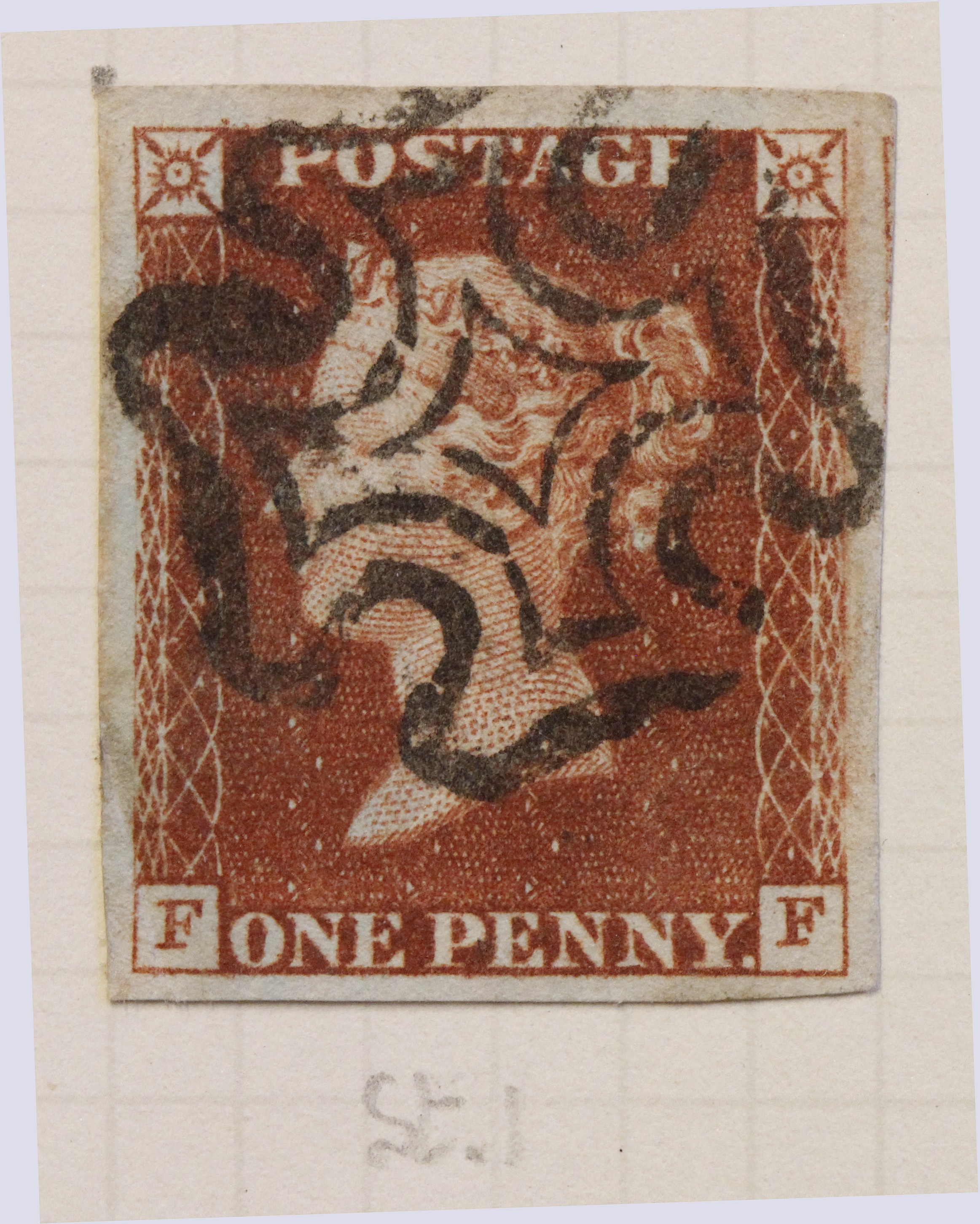 Plate 11 F-E