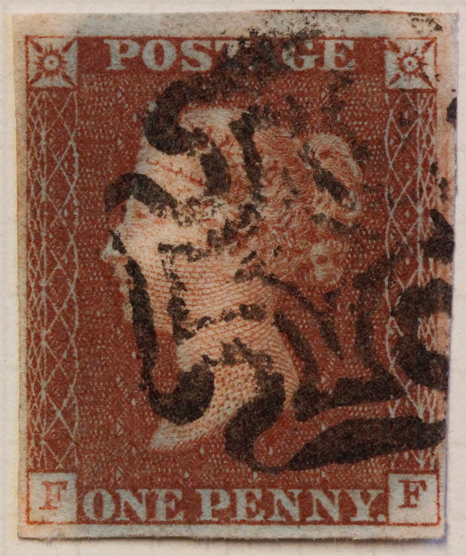 Plate 11 F-F