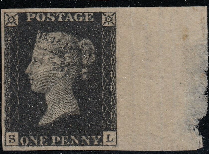 Plate 8 S-L