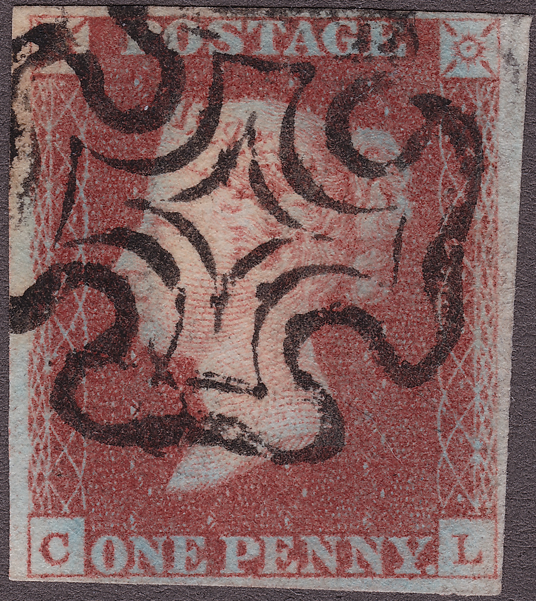 Plate 5 C-L