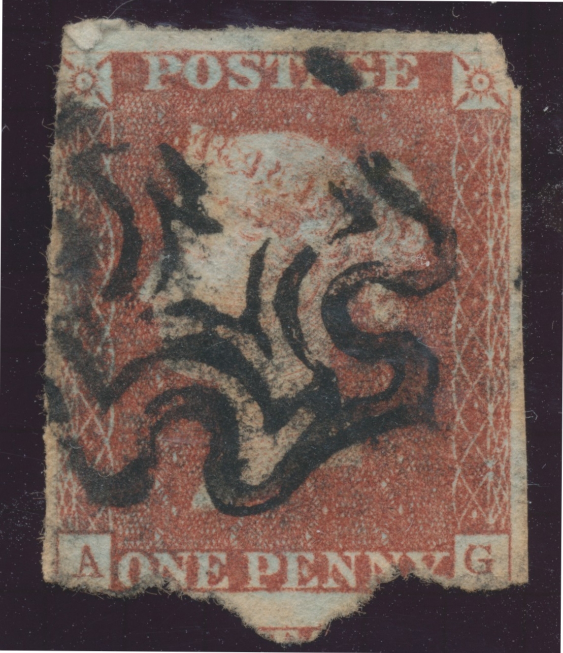 Plate 1B A-G